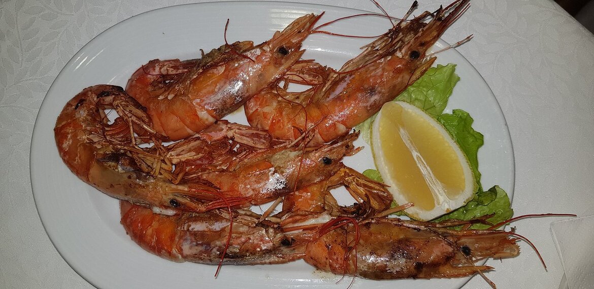Imagen de CASA ROSITA